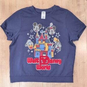 Disney Navy Blue Castle Sweatshirt With Short sleeves
